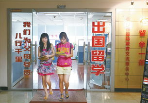 留学,正一步步升温